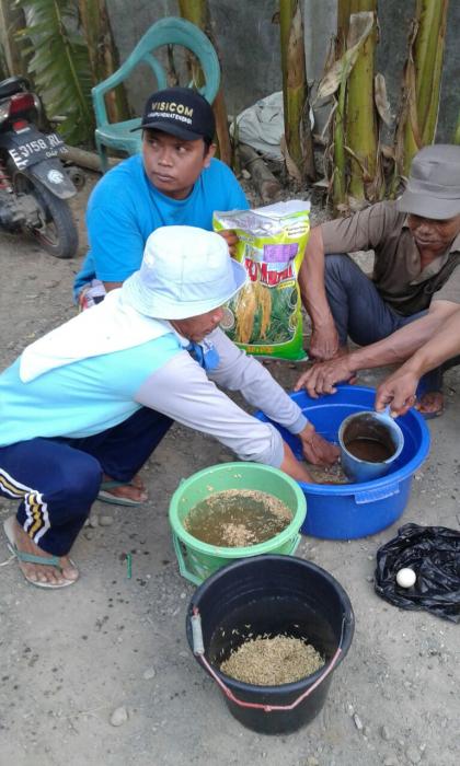 Seleksi Benih Dan Cara Persemaian Tanaman Padi