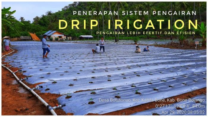 INOVASI PENGAIRAN TETES SOLUSI PENINGKATAN HASIL UNTUK BUDIDAYA HORTIKULTURA