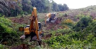 Penumbuhan dan Pengembangan Korporasi di Areal Perkebunan