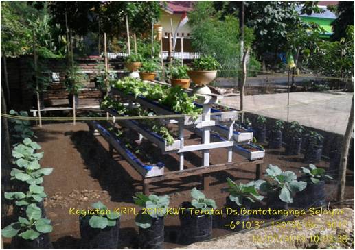 PEKARANGAN SEBAGAI LUMBUNG HIDUP, PASAR HIDUP DAN APOTIK HIDUP