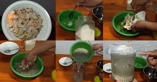 MIKROORGANISME LOKAL (MOL) NASI BASI, PROSES PEMBUATAN  DAN CARA PENGGUNAANNYA