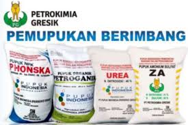 Pemupukan Padi Sawah