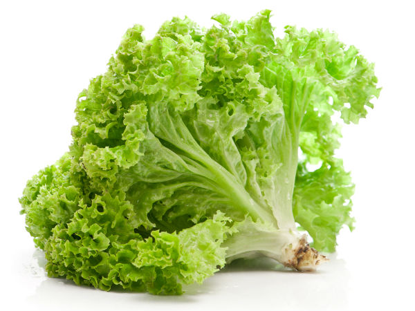 Budidaya Selada (Lactuca Sativa L.)