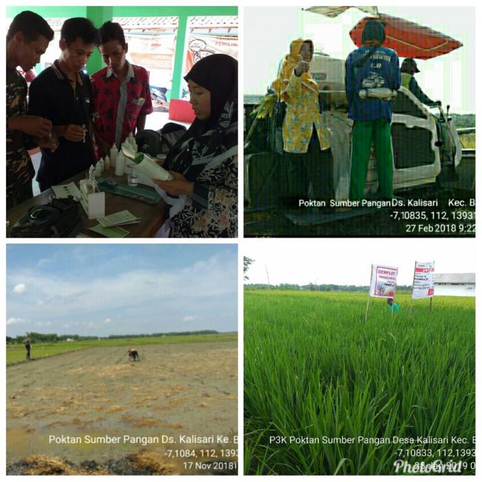 PENTINGNYA UJI TANAH DALAM PELAKSANAAN DEM BUDIDAYA TANAMAN PADI