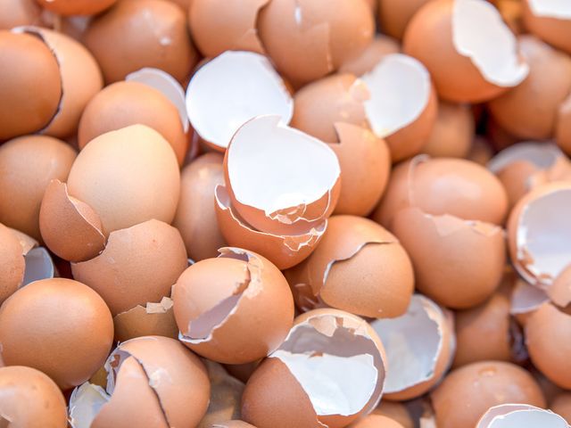 MEMPERKENALKAN PUPUK CAIR DARI KULIT TELUR KEPETANI DI WILAYAH EMPOANG UTARA