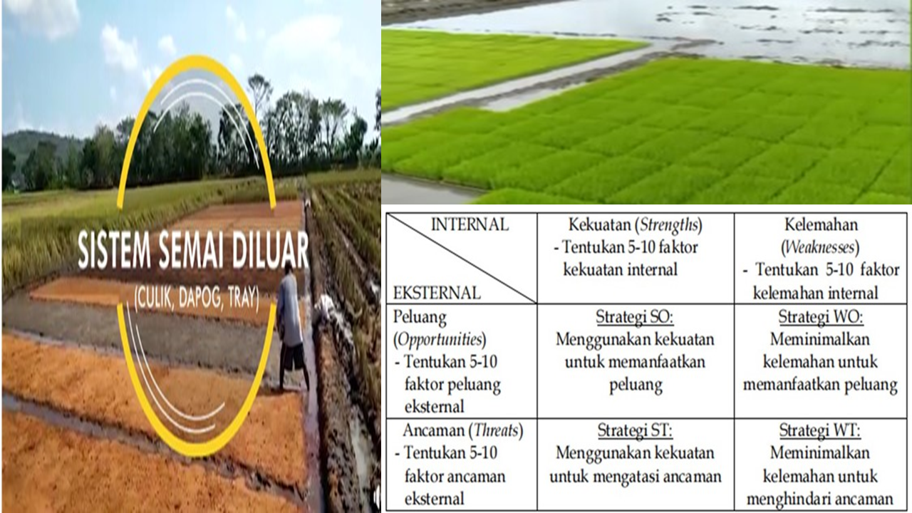 Strategi dan Kunci Sukses Peningkatan Indeks Pertanaman