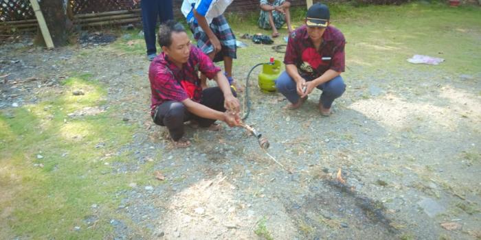 Fogging/pengasapan Mengendalikan Hama Pada Tanaman Cabai