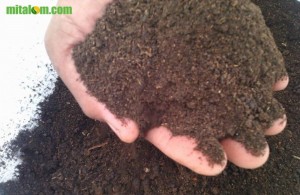 Fungsi dan Manfaat Bekatul Pada Pembuatan Kompos