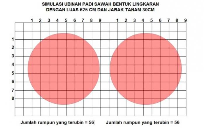 Alat Ubinan Padi Sawah Bentuk Melingkar (ubinan Ambar Melingkar)