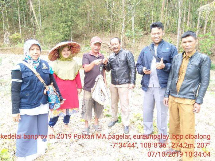 Panen Dan Pasca Panen Tanaman Kedelai Di Poktan Mukti Abadi Pagelar Desa Eureunpalay, Kec.cibalong Kab.tasikmalaya