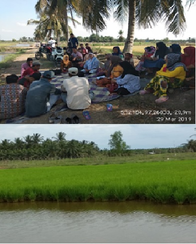 REMBUG TANI DESA KEUTAPANG JAYA