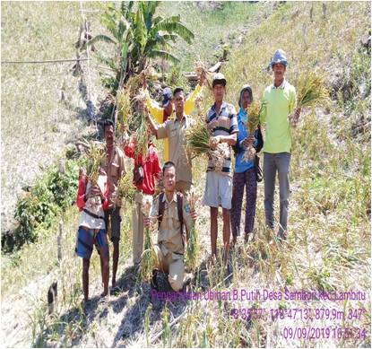 Pemupukan Bawang Putih Spesifik Lokasi