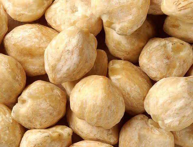 PEMELIHARAAN TANAMAN KEMIRI