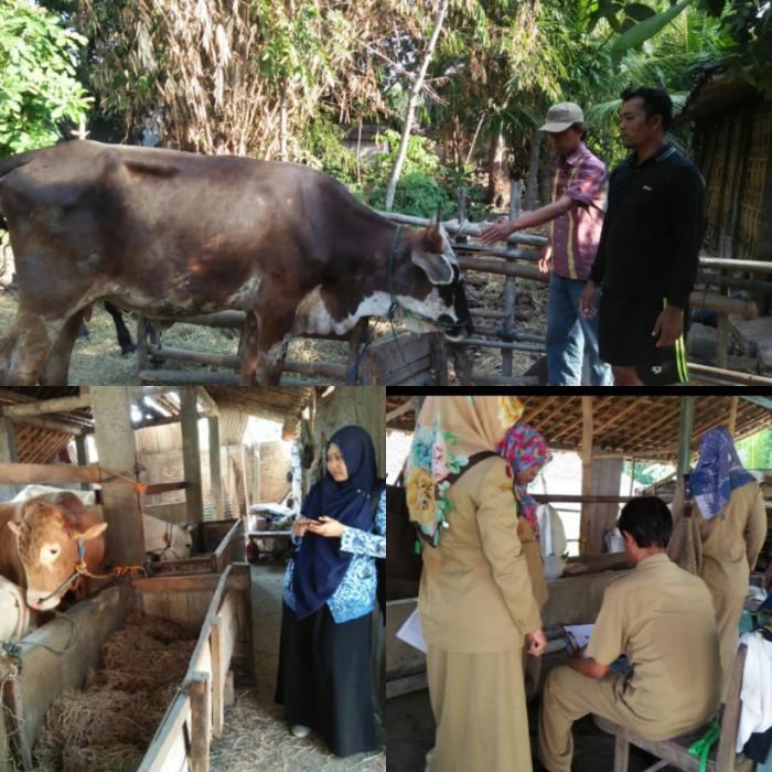 WASPADA ANTRHAX..!!! (Materi Penyuluhan di Desa Kedungharjo Kecamatan Mantingan Kabupaten Ngawi)