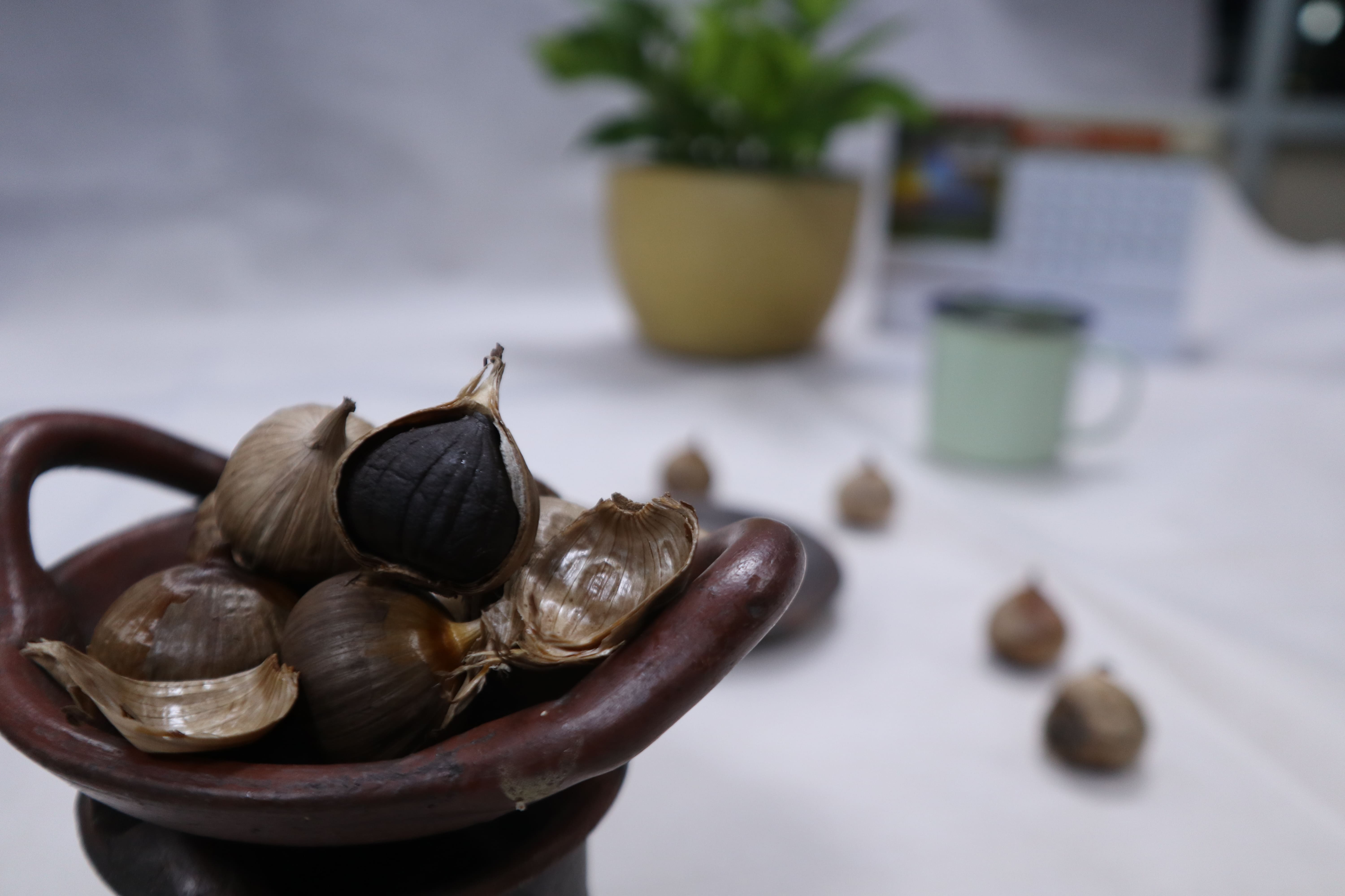 VANILI SI EMAS HIJAU, TINGGI MANFAAT DAN NILAI JUAL TINGGI