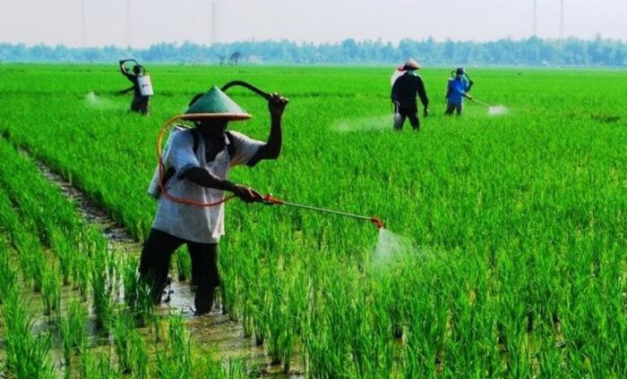 Aplikasi Penggunaan Pestisida