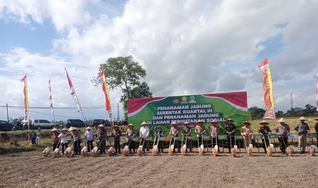 Sinergi Dukung Ketahanan Pangan, Penanaman Jagung Serentak  di Lahan Perhutanan Sosial Digelar di Lombok Barat