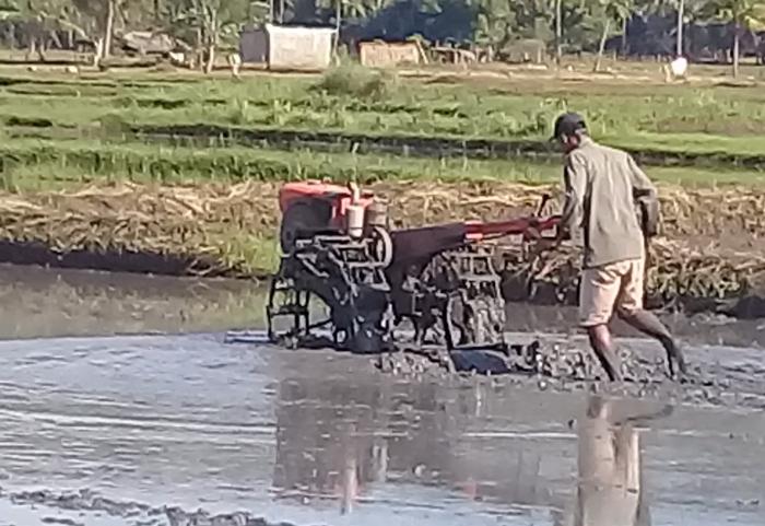 Pengolahan  Lahan  Sawah  