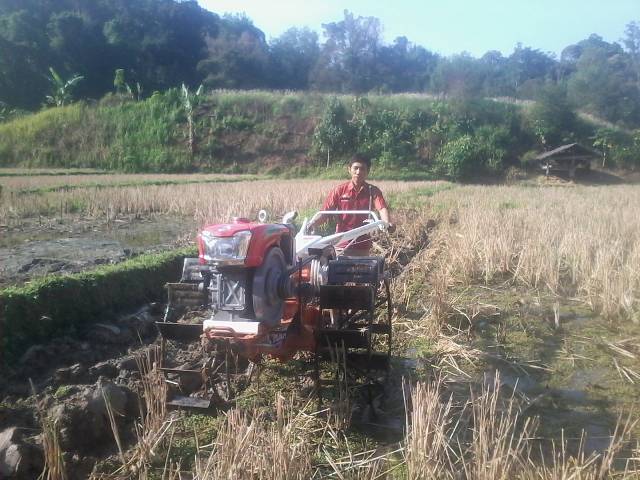 PENGOLAHAN TANAH SAWAH