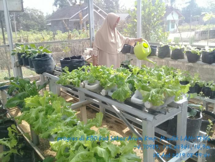 KEBUN BIBIT DESA KWT SEKAR ARUM