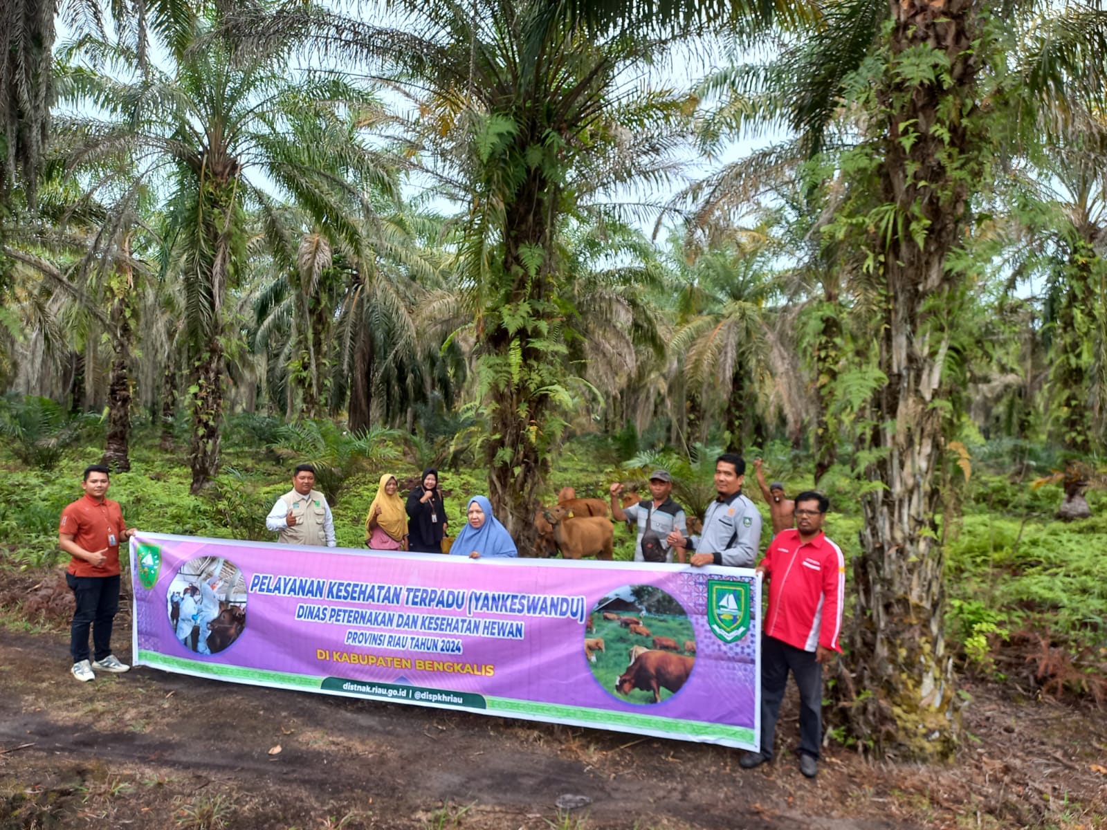 KUNJUNGAN DAN PELAYANAN KESEHATAN HEWAN  OLEH  DINAS PETERNAKAN DAN KESEHATAN HEWAN PROVINSI RIAU DI KECAMATAN BATHIN SOLAPAN KABUPATEN BENGKALIS