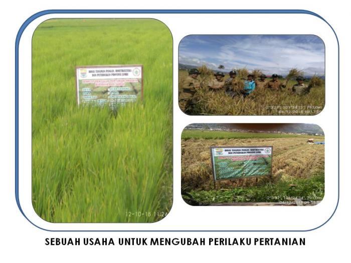 SEBUAH USAHA UNTUK MENGUBAH PERILAKU PERTANIAN