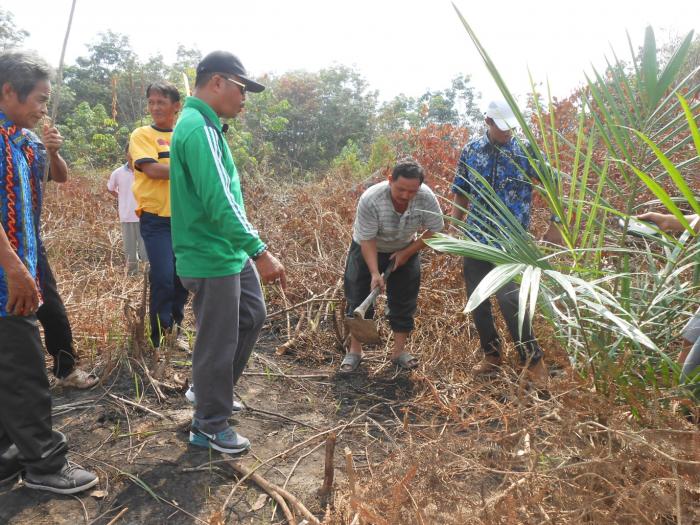 Kebun Sawit Tumbuh, Kutai Timur Sejahtera