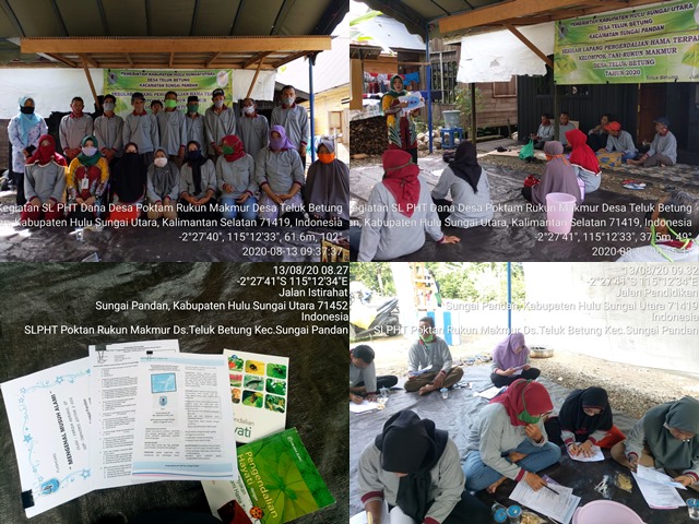 Pengendalian Hayati Dengan Memberdayakan Musuh Alami, Kegiatan SL-PHT Poktan Rukun Makmur Ds. Teluk Betung Kec. Sungai Pandan