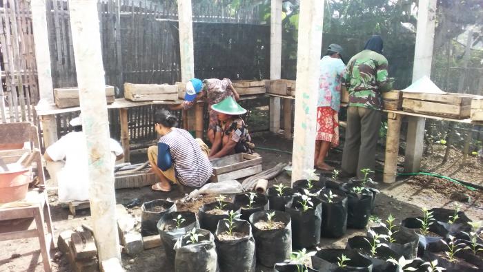 pemanfaatan pekarangan dengan tanaman sayuran dalam polybag di kelompok wanita tani sekar tani ds. rejomulyo, kec.panekan
