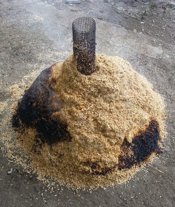 Berbagai Manfaat Sekam Padi