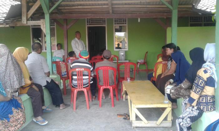 APLIKASI PENGGUNAAN BAKTERI PAENIBACILLUS POLYMYXA PADA TANAMAN SAYURAN