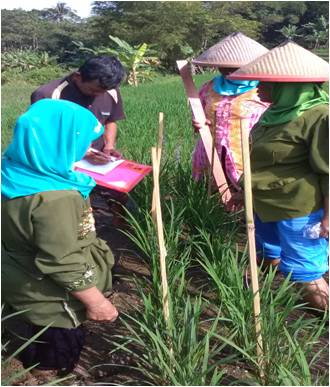 PENYULUH SWADAYA, APA KABARMU ?