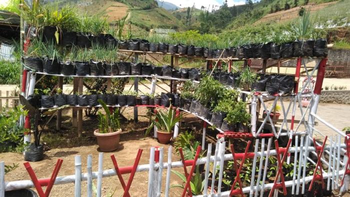 Budidaya Vertikultur Dengan Menggunakan Botol Bekas Air Mineral