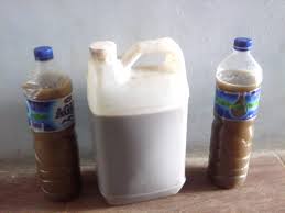 PAKAN ORGANIK AYAM PEDAGING (Broiler)
