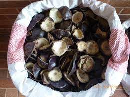   PEMANFAATAN LIMBAH KULIT JENGKOL DAN CABAI MENJADI INSEKTISIDA 