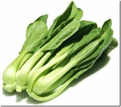 Bubidaya Sawi Secara Sederhana