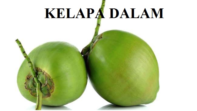 BUDIDAYA TANAMAN KELAPA