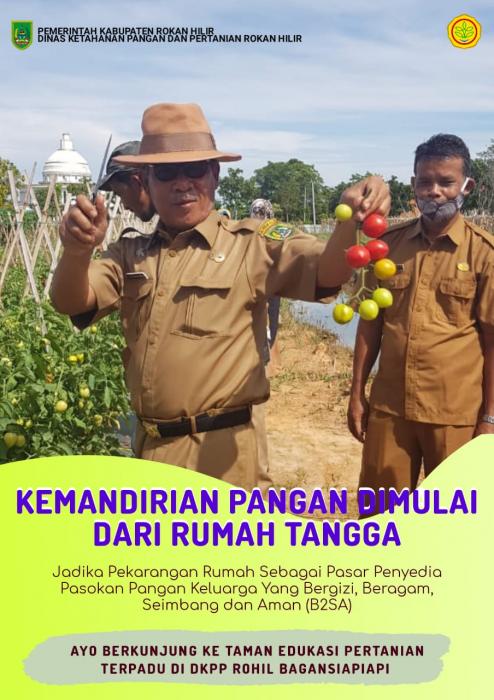 Terapkan Konsep Kemandirian Pangan dimulai dari Pekarangan Rumah