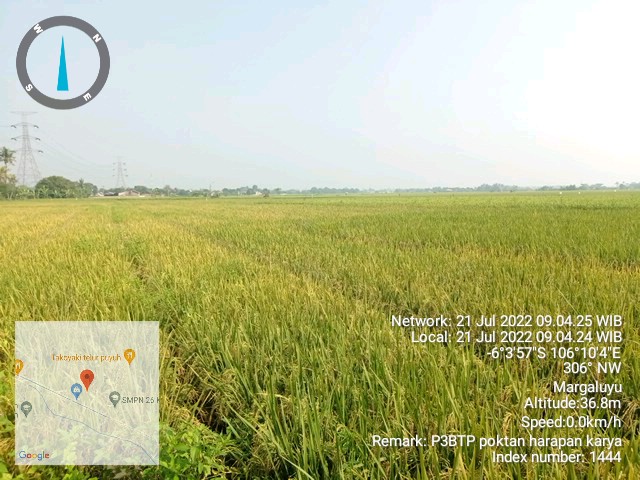 Pengembangan Petani Produsen Benih Tanaman Pangan (p3btp) Poktan Harapan Karya