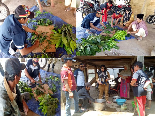 MACAM-MACAM TANAMAN YANG DIGUNAKAN UNTUK PESTISIDA NABATI  OLEH : ABUL RAHMAN, SP.M.SI
