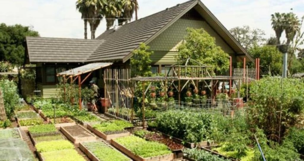 Optimalisasi Olah Lahan di Tanah Rawa dan Lahan Kering