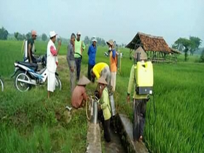  Pengendalian Opt  Penggerek Batang Padi (scirpophaga Innotata)