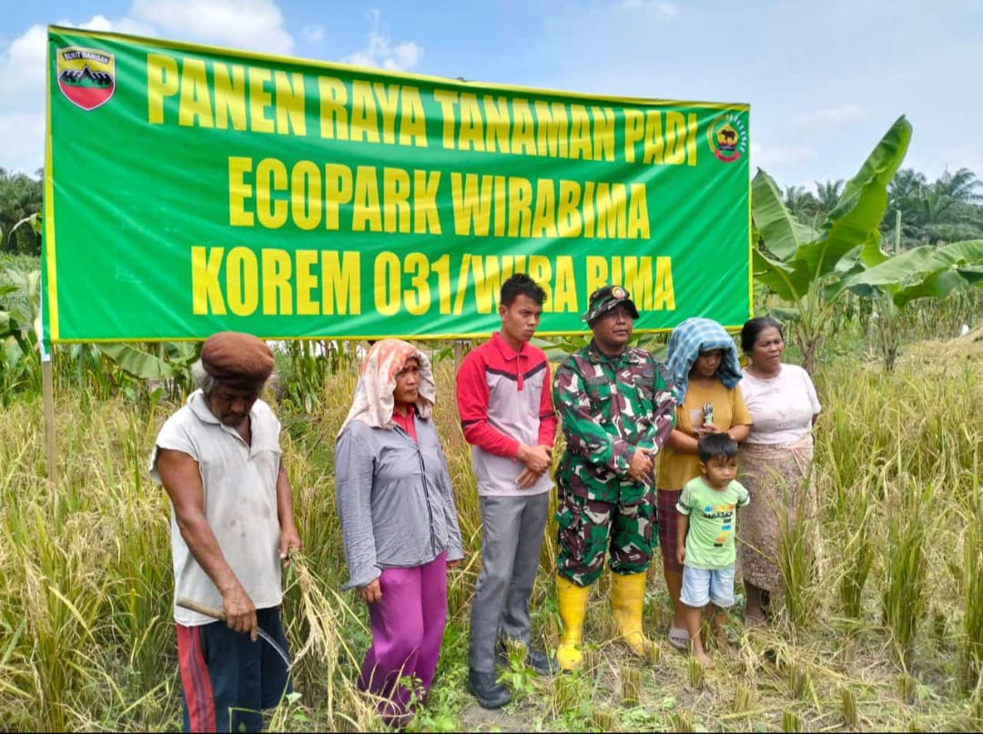 Penen Raya Padi Poktan Wira Bima Sejahtera Dengan Korem 0303 Kabupaten Bengkalis Di Desa Kesumbo Ampai Kecamatan Bathin Solapan Kabupaten Bengkalis.