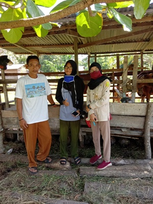 KEGIATAN PELAYANAN KESEHATAN TERNAK DI KELURAHAN SELATPANJANG TIMUR