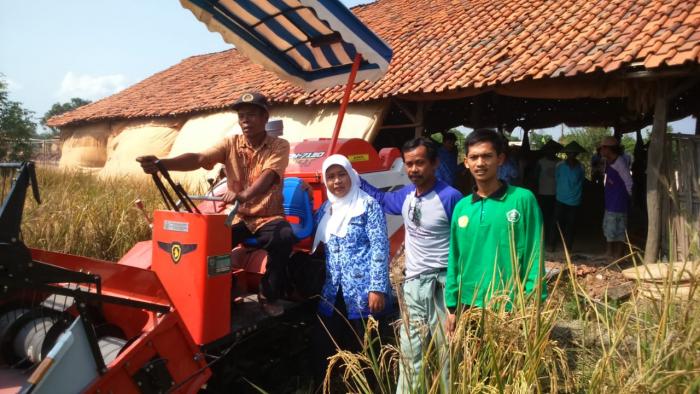 penurunan susut panen (lossess) dengan menggunakan alat mesin pertanian combine harvester  di kelompoktani sri marga mulya desa plosokerep  kecamatan terisi kabupaten indramayu