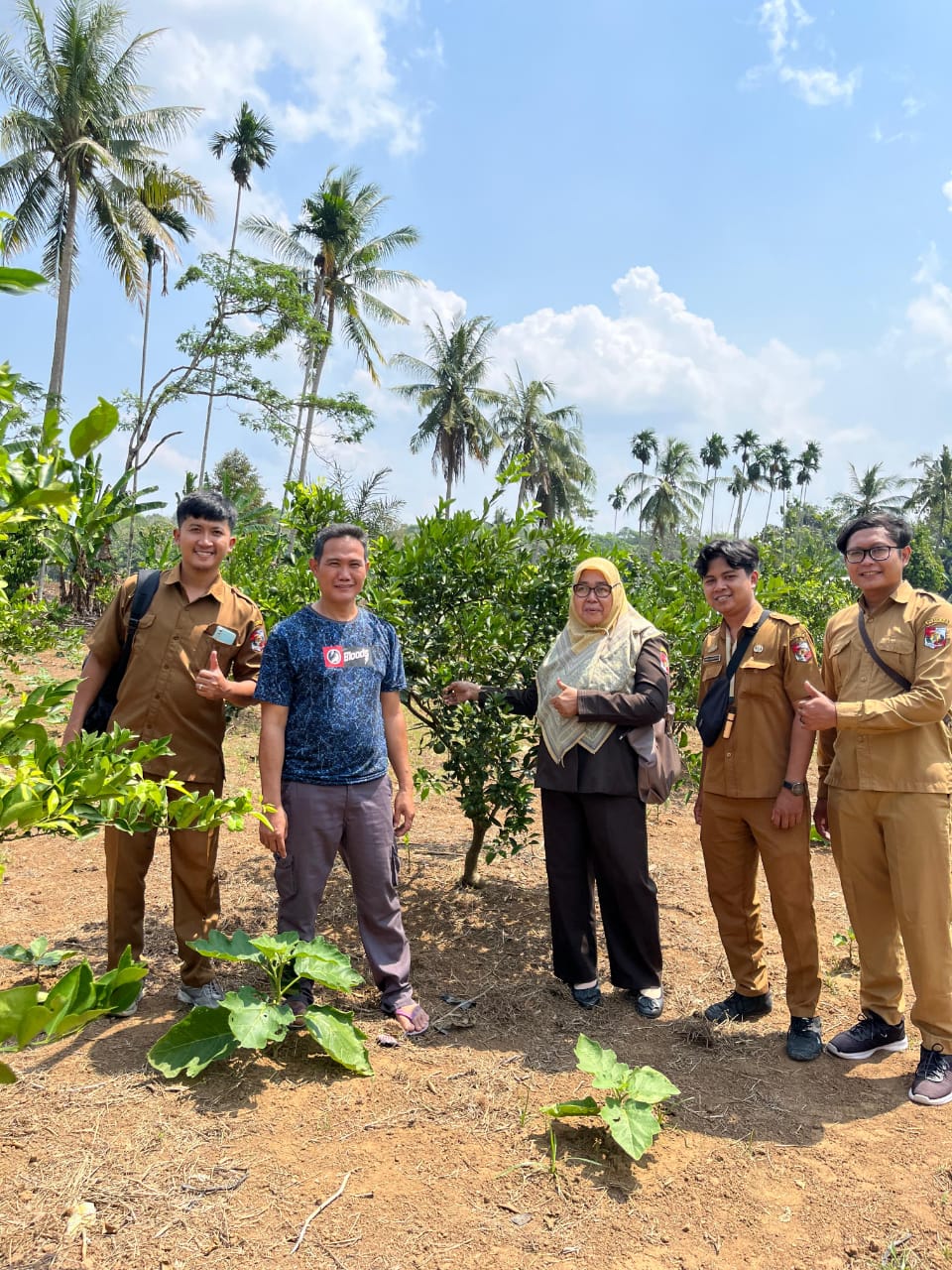 Potensi Tanaman Jeruk Di Kecamatan Abung Barat