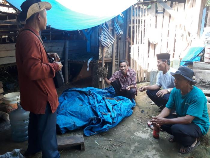 Pentingnya Bahan Organik  bagi Kesuburan Tanah