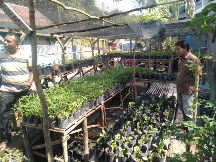 LAHAN SEMPIT BISA JADI DUIT