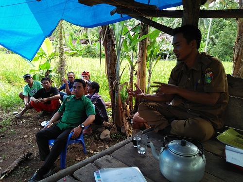 Penyakit  Pisang Dan Lima Cara Maxima Mengendalikannya