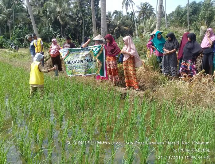 SISTEM PENGAIRAN BERSELANG ( IRRIGATION INTERMITTENT)